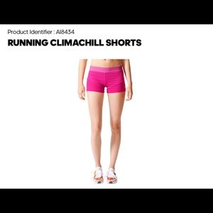 NWT Adidas by Stella McCartney Climachill shorts